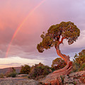 Sunset Rainbow