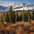 The Willows and Wilson Peak